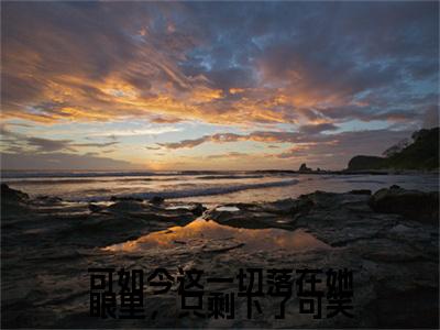 前传_笔趣阁（洛姜窈顾振钦）洛姜窈顾振钦小说(可如今这一切落在她眼里，只剩下了可笑)章节在线阅读