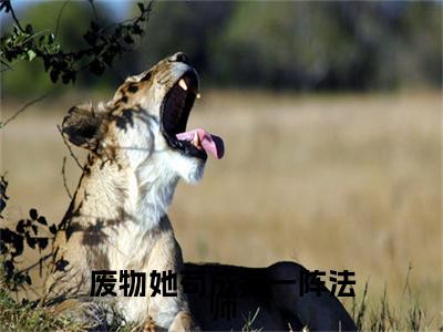 李亦柔杜欣小说番外+结局（废物她苟成第一阵法师）小说在线阅读