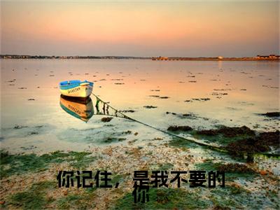 前传你记住，是我不要的你续集(你记住，是我不要的你)终章阅读极简（你记住，是我不要的你）