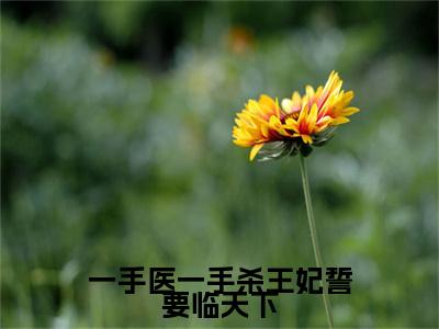 一手医一手杀王妃誓要临天下全文免费阅读无弹窗大结局_舒禾最新章节列表_笔趣阁（一手医一手杀王妃誓要临天下：完结+结局+番外）