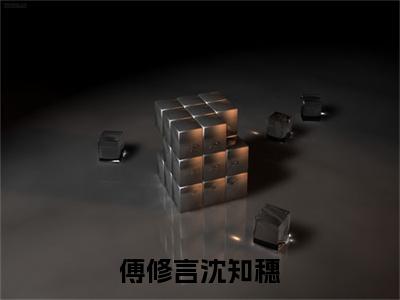 傅修言沈知穗小说叫什么(沈知穗傅修言)小说全集阅读无广告（傅修言沈知穗）番外+续集