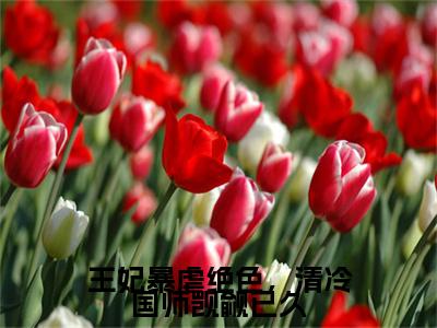 王妃暴虐绝色，清冷国师觊觎已久小说(慕容辰沈清棠)全文+后续（王妃暴虐绝色，清冷国师觊觎已久）畅享阅读