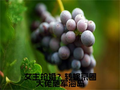 姜泽远简悦小说(姜泽远简悦)（女主抢婚？转嫁京圈大佬随军海岛）完整章节列表_笔趣阁