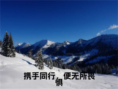 携手同行，便无所畏惧后续(霍栖泽许幼宁)（携手同行，便无所畏惧）整本畅享在线+无广告结局