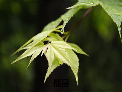 黎佳顾俊小说无删减+后续（孤星）畅享阅读