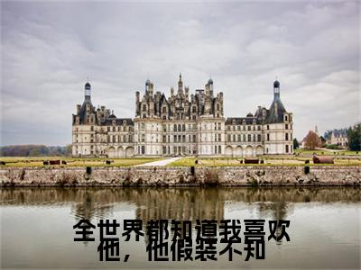 前传霍文翰梁茉续集(霍文翰梁茉)终章阅读极简（霍文翰梁茉）