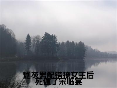 炮灰男配错撩女主后死遁了宋临宴小说(顾云舒宋临宴)（炮灰男配错撩女主后死遁了宋临宴）在线畅读阅读连载中