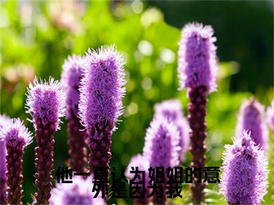 季婉姜维他一直认为姐姐的意外是因为我小说整本+后续（他一直认为姐姐的意外是因为我）清爽版阅读