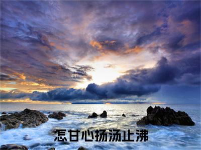 怎甘心扬汤止沸彩蛋（唐念慈裴司珩）全书在线下载阅读完美终章小说大结局