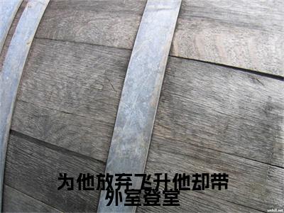 凤虞小说(为他放弃飞升他却带外室登堂)（凤虞）整本+后续+结局在线阅读