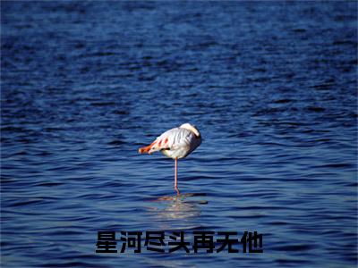 小说星河尽头再无他小说已更新+番外篇章（宋佳宜傅锦萧）纯净阅读