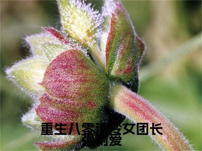 宋旭生程婧续集（重生八零清冷女团长强制爱）章节在线阅读最近章节