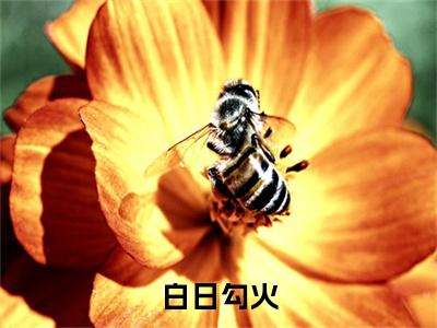 岑阮陆迟野是什么小说(白日勾火)（岑阮陆迟野）全本完整清爽版在线+无广告结局