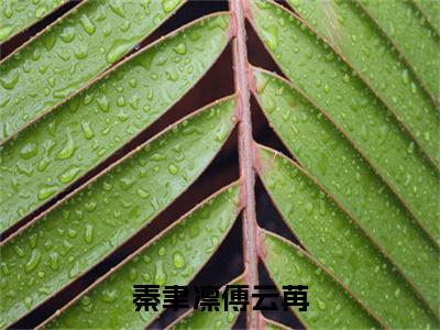秦聿凛傅云苒：结局+番外免费品鉴傅云苒秦聿凛后续一口气无广告全书章节表