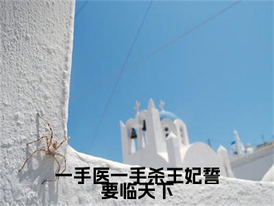 前传一手医一手杀王妃誓要临天下续集(一手医一手杀王妃誓要临天下)终章阅读极简（一手医一手杀王妃誓要临天下）