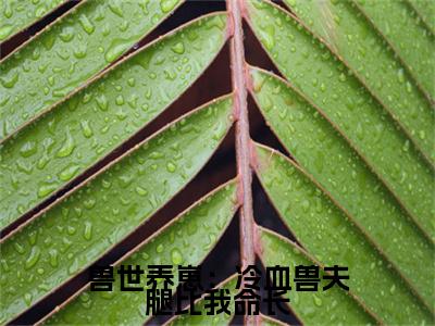 （兽世养崽：冷血兽夫腿比我命长）黎苏暮寒兽世养崽：冷血兽夫腿比我命长后续一口气无广告全书章节表