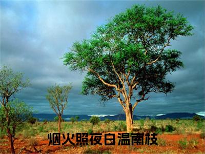 烟火照夜白温南枝(沈清宴温南枝)整本+后续+（烟火照夜白温南枝）结局在线阅读