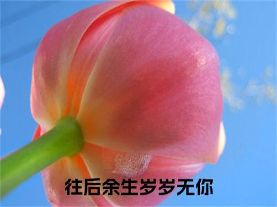 陆西沉沈蔷全文全文免费阅读_往后余生岁岁无你全文最新章节列表笔趣阁（陆西沉沈蔷）