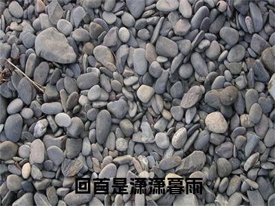 林婉兮霍亦铭特别篇章节目录+章节前文（回首是潇潇暮雨）TXT清爽版在线