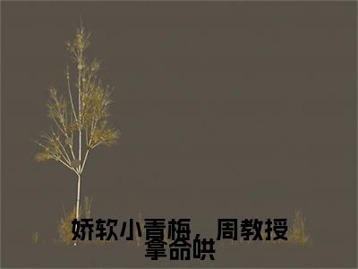 陈不语周寅之特别篇章节目录+章节前文（娇软小青梅，周教授拿命哄）TXT清爽版在线