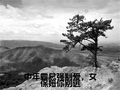 王芸傅司砚后续(中年霸总强制爱，女保姆你别逃)（王芸傅司砚）整本畅享在线+无广告结局