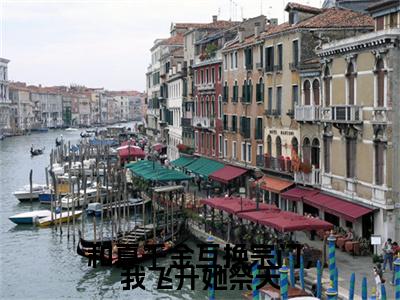 和真千金互换宗门，我飞升她祭天：结局+番外（叶清宁）电子书畅享阅读无广告