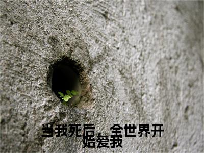 纪晚奚栾庭砚：结局+番外（当我死后，全世界开始爱我）全本完整+后续+结局在线阅读