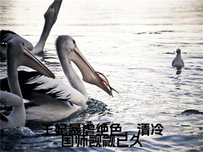 王妃暴虐绝色，清冷国师觊觎已久续集起点章节+全书阅读（慕容辰沈清棠）书荒必看