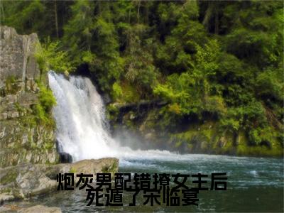 顾云舒宋临宴后续(炮灰男配错撩女主后死遁了宋临宴)（顾云舒宋临宴）整本畅享在线+无广告结局