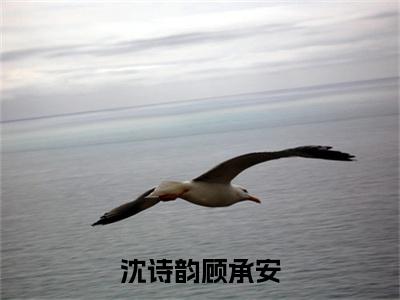 沈诗韵顾承安小说全文免费阅读（沈诗韵顾承安）全文免费阅读无弹窗_沈诗韵顾承安小说全文免费阅读_笔趣阁