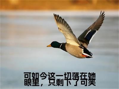 （可如今这一切落在她眼里，只剩下了可笑）洛姜窈顾振钦：+番外+后续起点章节+阅读即将发布预订