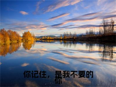 江若薇秦默远小说完本+番外（你记住，是我不要的你）畅享阅读