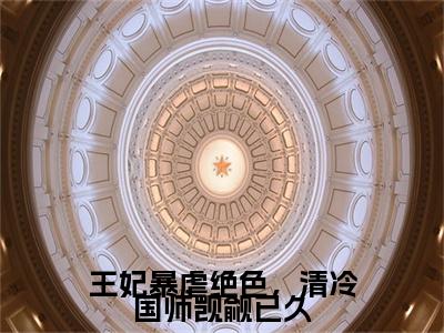 （慕容辰沈清棠）王妃暴虐绝色，清冷国师觊觎已久无删减小说在线无广告高口碑小说