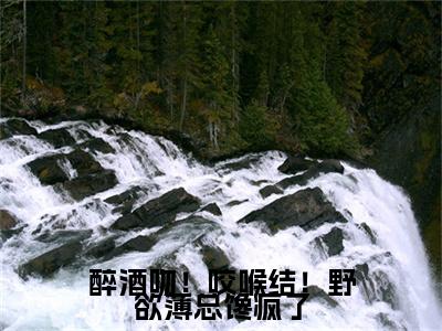 薄宴辞裴梨 小说小说全集+延伸+完本（醉酒吻！咬喉结！野欲薄总馋疯了）畅享在线阅读