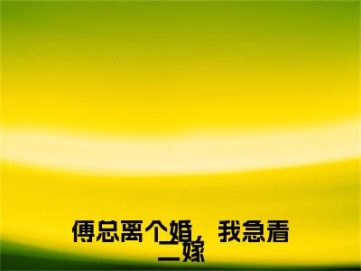 沈时染厉行舟小说（傅总离个婚，我急着二嫁）前文+全本完整阅读预售作品抢先看