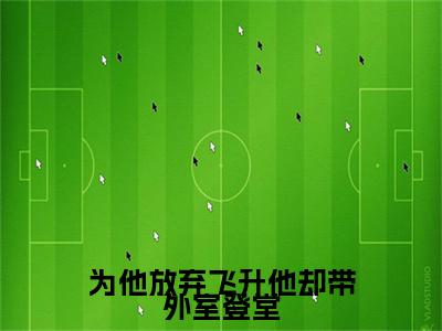 独家凤虞无删减(为他放弃飞升他却带外室登堂)（凤虞）TXT免费版阅读