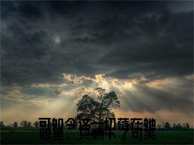 （可如今这一切落在她眼里，只剩下了可笑）洛姜窈顾振钦延伸在线下载无广告章节清单