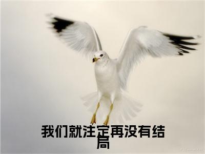 我们就注定再没有结局续集(我们就注定再没有结局)终极反转（桑思娴尉迟砚）全篇一口气阅读