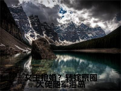 姜泽远简悦 小说小说全集+延伸+完本（女主抢婚？转嫁京圈大佬随军海岛）畅享在线阅读
