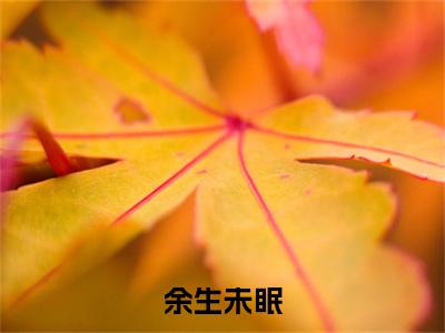 余生未眠：结局+番外精编之作（宁之舟顾雪眠）完整章节列表_笔趣阁