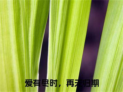 沈青黎瞿司白:+后续+全文（爱有尽时，再无归期）全书在线下载阅读完美终章小说大结局