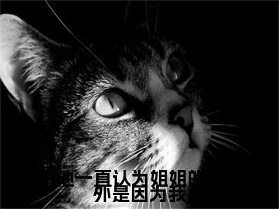 季婉姜维小说(季婉姜维)（他一直认为姐姐的意外是因为我）完整章节列表_笔趣阁