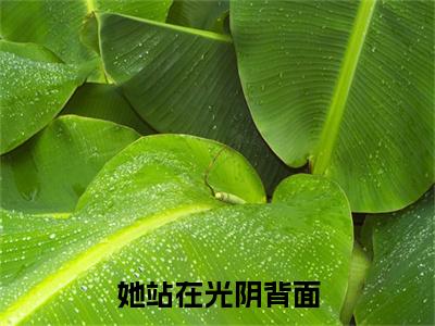 全网首发她站在光阴背面彩蛋(许秋宁沈明川)（她站在光阴背面）全本完整阅读无弹窗