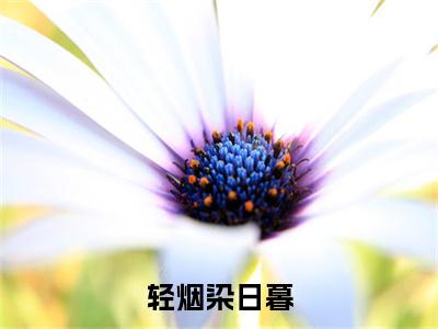 终章小说轻烟染日暮(乔岁暖晏沉)：结局+番外评价五颗星