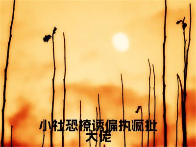 漆淮宋轻小社恐撩诱偏执疯批大佬续集(漆淮宋轻)终极反转（小社恐撩诱偏执疯批大佬）全篇一口气阅读