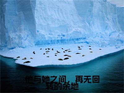 （他与她之间，再无回转的余地）：+后续+番外 林琴茗陆司勉后续全本浏览阅读