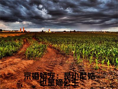 姜以安周瑾臣小说(京婚娇宠：是小尼姑也是嫡公主)外篇+结局（姜以安周瑾臣）全篇在线阅读
