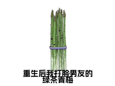 陆真真青梅小说全篇完整在线阅读（重生后我打脸男友的绿茶青梅）热门章节列表