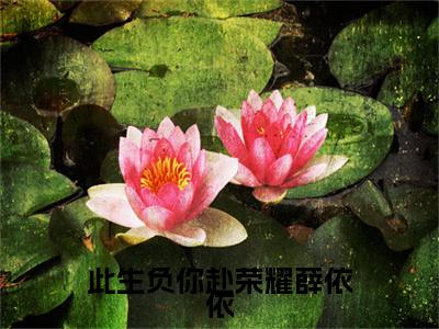 江北涛薛依依（此生负你赴荣耀薛依依）结局+番外免费品鉴_（此生负你赴荣耀薛依依）江北涛薛依依+后续评价五颗星