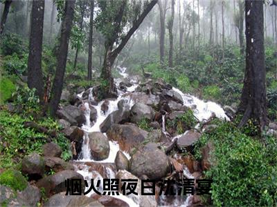 最新章节_笔趣阁（烟火照夜白沈清宴）烟火照夜白沈清宴小说(温南枝沈清宴)在线畅读阅读